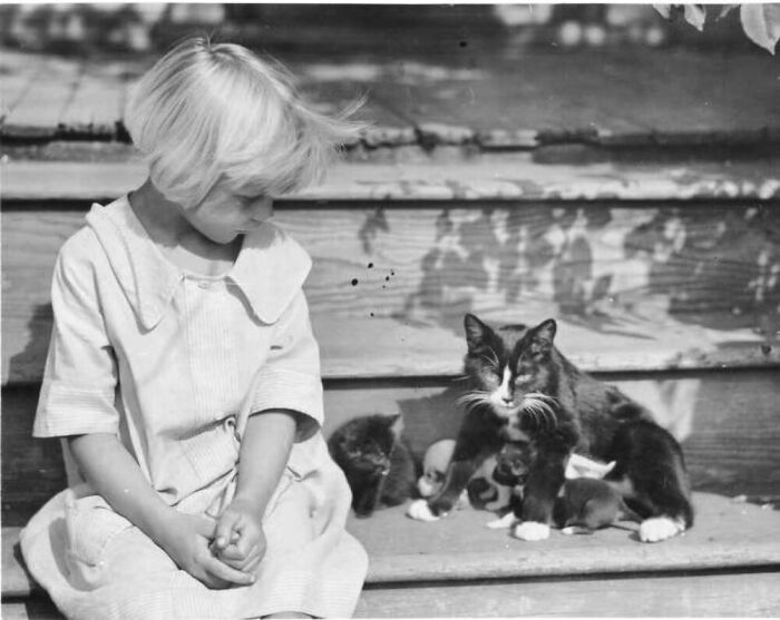 56 Vintage Photos Of Cats Posing With Famous People And Interesting Personalities (New Pics)