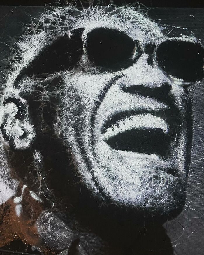 This Montreal Artist Creates Portraits By Breaking Glass (4 Pics)