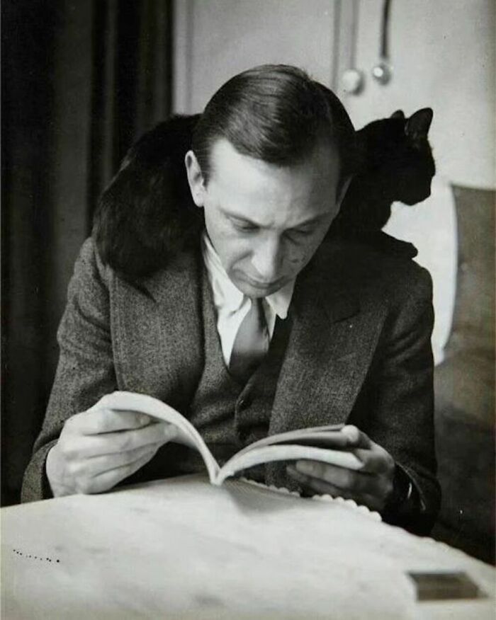 56 Vintage Photos Of Cats Posing With Famous People And Interesting Personalities (New Pics)