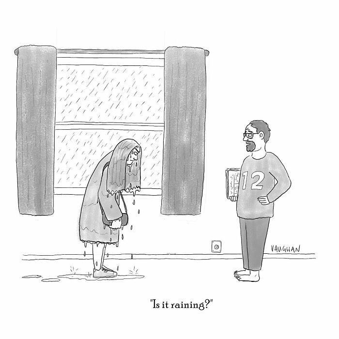 A drenched person inside, with another asking if it's raining; a comic by Vaughan Tomlinson on daily life humor.