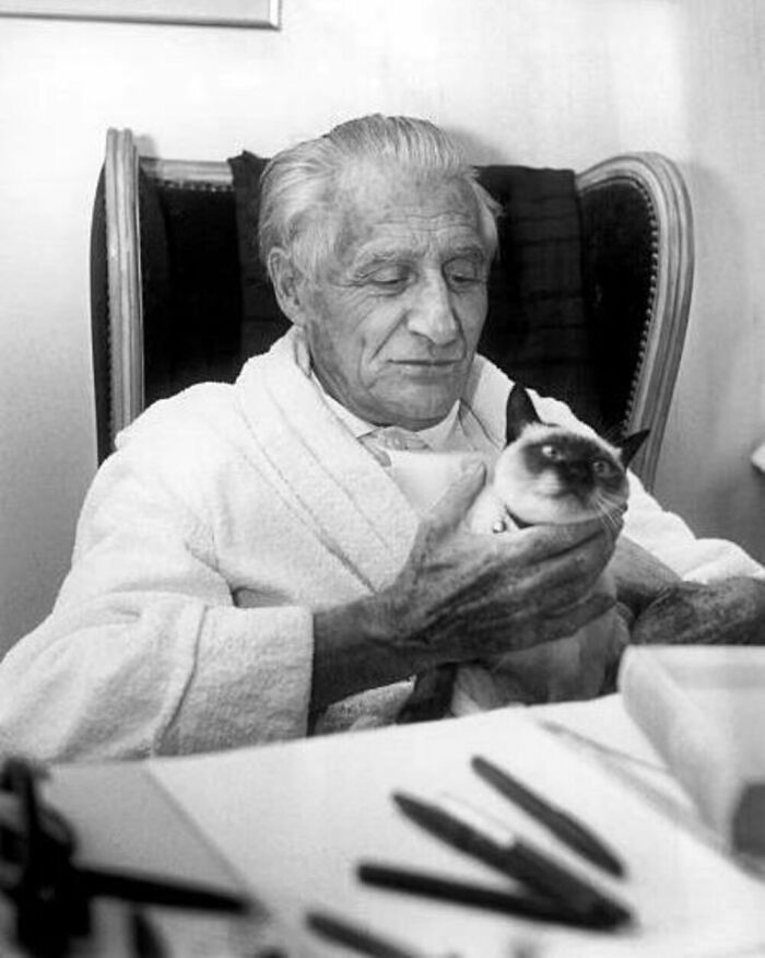 56 Vintage Photos Of Cats Posing With Famous People And Interesting Personalities (New Pics)