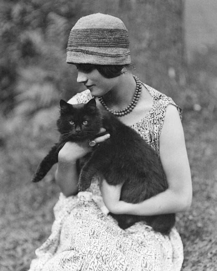 56 Vintage Photos Of Cats Posing With Famous People And Interesting Personalities (New Pics)