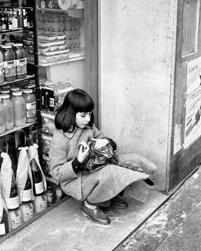 56 Vintage Photos Of Cats Posing With Famous People And Interesting Personalities (New Pics)