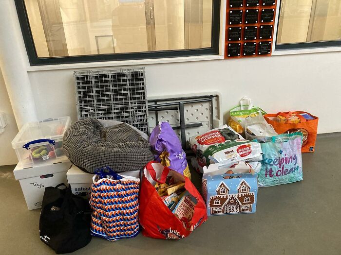 The Smokey Project: A Story Of How Rescuing A Dog Inspired Me To Help Rescue Centers