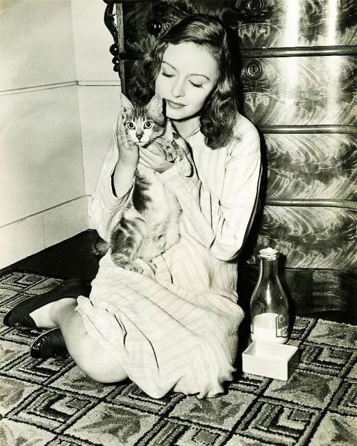 56 Vintage Photos Of Cats Posing With Famous People And Interesting Personalities (New Pics)