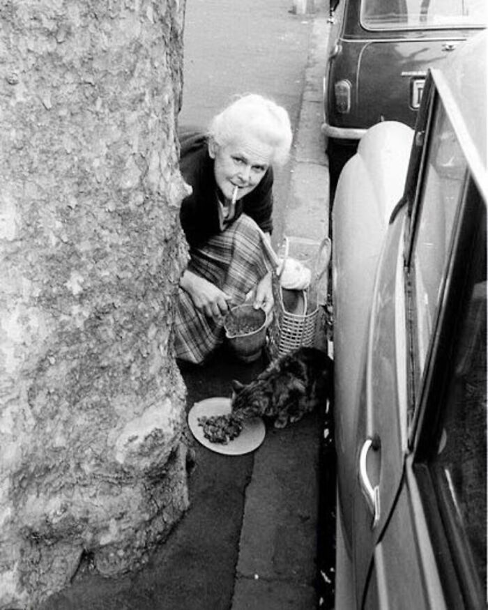 56 Vintage Photos Of Cats Posing With Famous People And Interesting Personalities (New Pics)