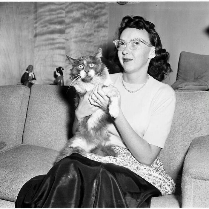56 Vintage Photos Of Cats Posing With Famous People And Interesting Personalities (New Pics)