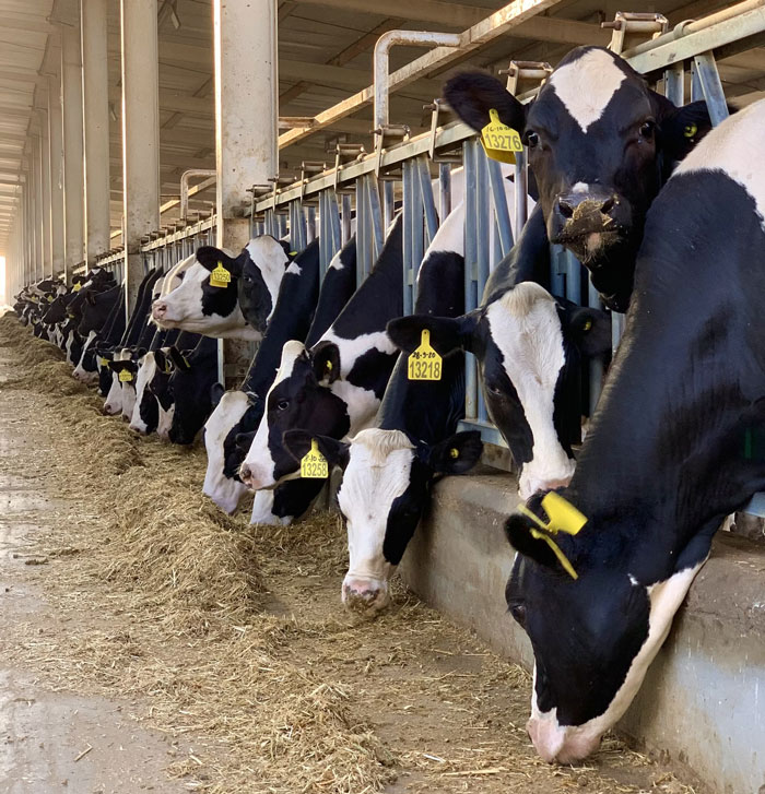 “Lefty Loosy, Righty Tighty”: 30 Highly Useful Facts That Are Not Yet Universal Knowledge