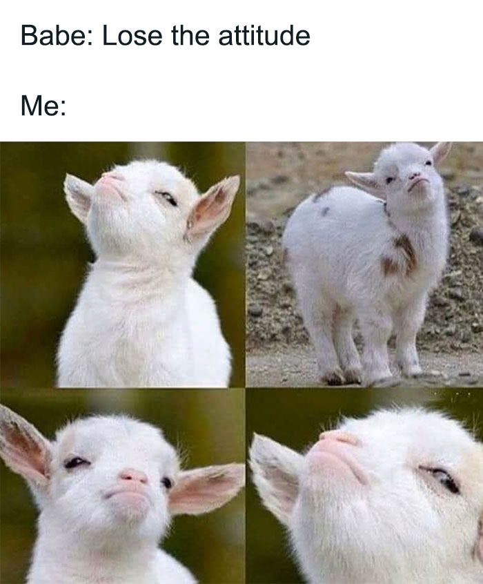 Funny-Relationship-Memes