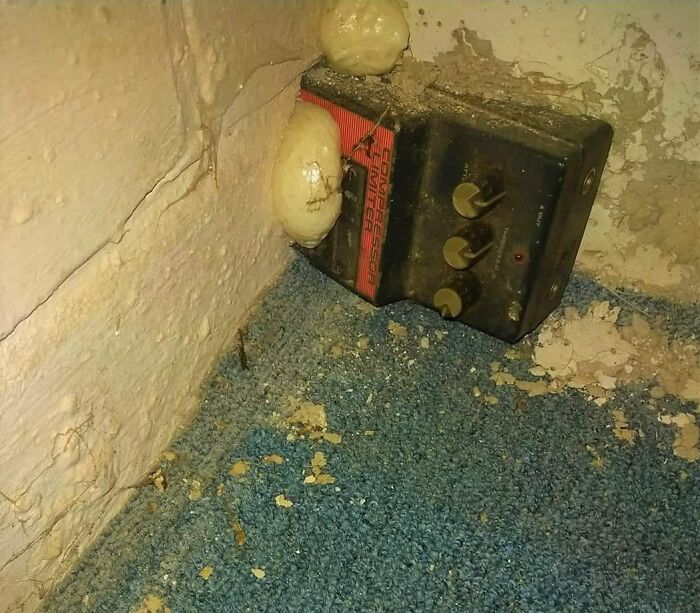 Tell Me It's A College House Without Telling Me It's A College House