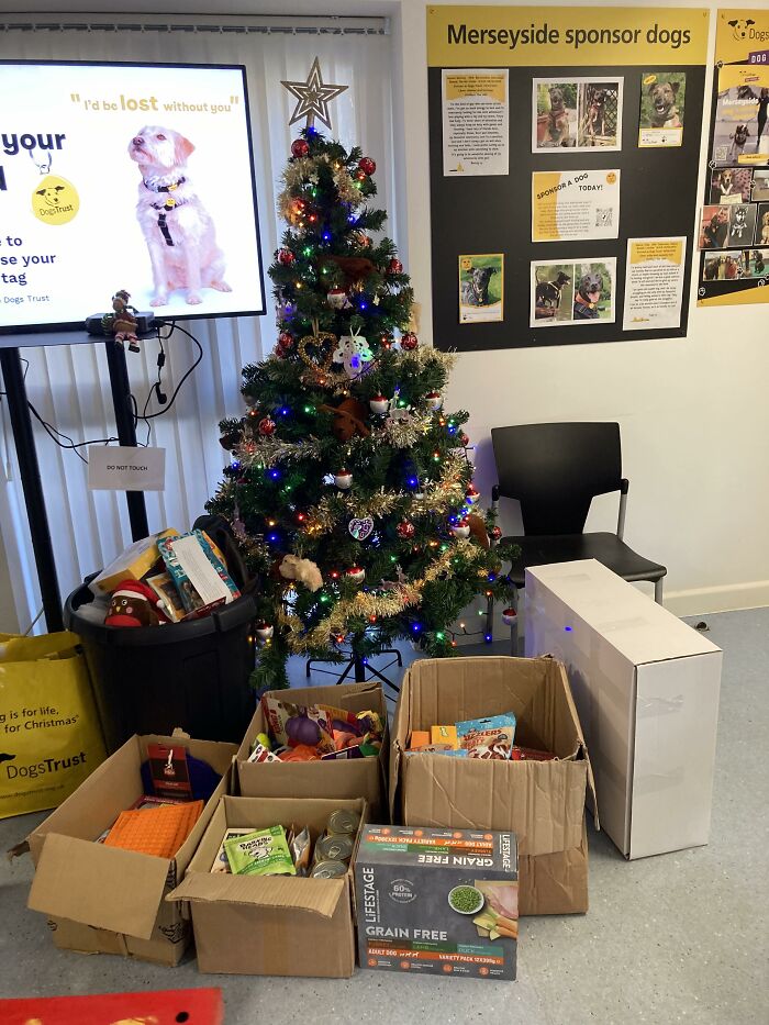 The Smokey Project: A Story Of How Rescuing A Dog Inspired Me To Help Rescue Centers