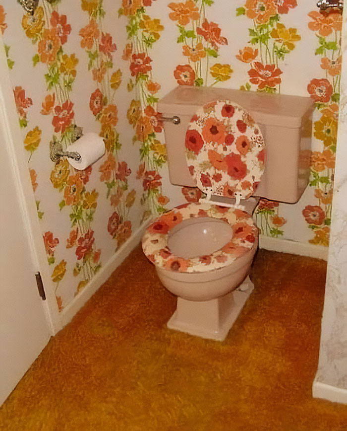 Creepy-Toilets-With-Threatening-Auras-Pics