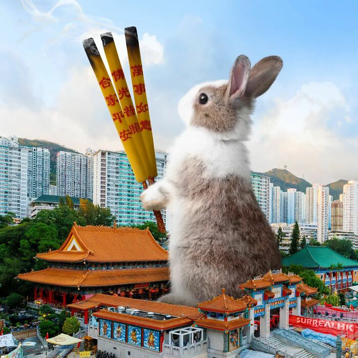 Digital Artist Shows What Hong Kong Would Be Like If Giant Animals Invaded It (34 Pics)