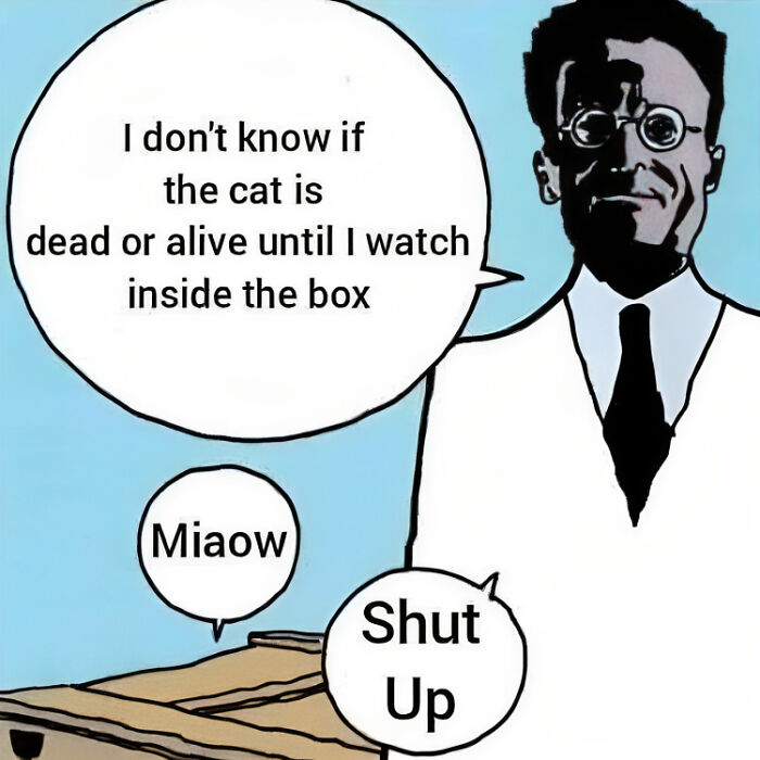 Physicist humor meme with Schrödinger and a cat in a box, illustrating a classic physics joke.