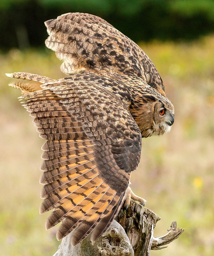 35 Times People Entered Someone Else’s Home And Just Had To Describe The Weirdness That They Saw