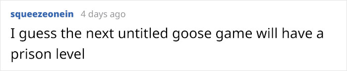 Brazilian Prison Uses Instinctively Protective “Geese Agents” To Ensure Inmates Don’t Escape Brazilian Prison Uses Instinctively Protective “Geese Agents” To Ensure Inmates Don’t Escape