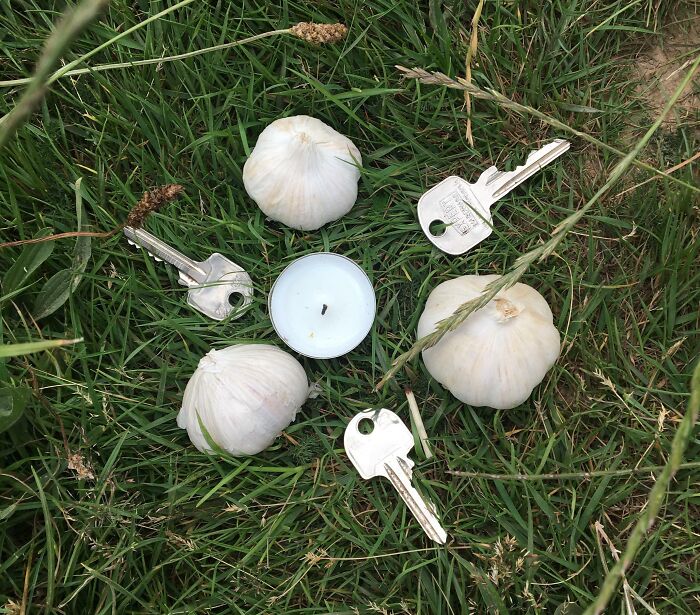 Found This On A Mountain In Ireland