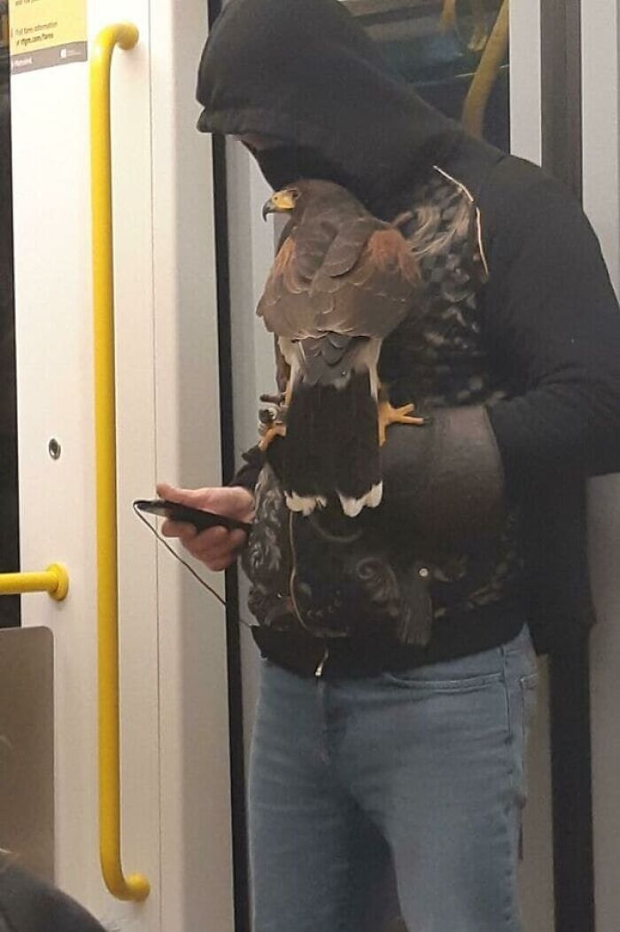 Subway-Creatures-Funny-Pics