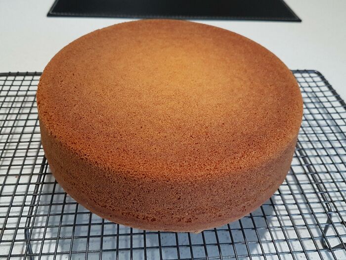 My Cake I Just Popped Out Of The Cake Tin Did Not Break At All. Feels Good