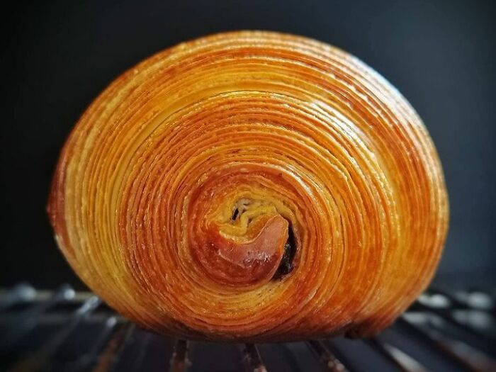 This Freshly Baked Croissant