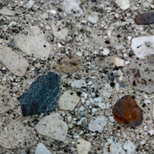 lucillebarthel avatar