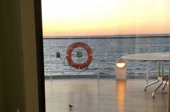 Ese círculo ⭕️ te salva la vida