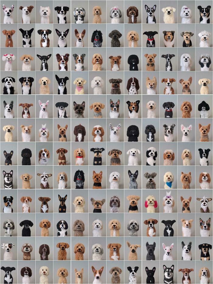 Spot The Real Dog V.2 . Don't Zoom