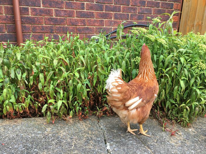 I Lost My Sister In The Mint