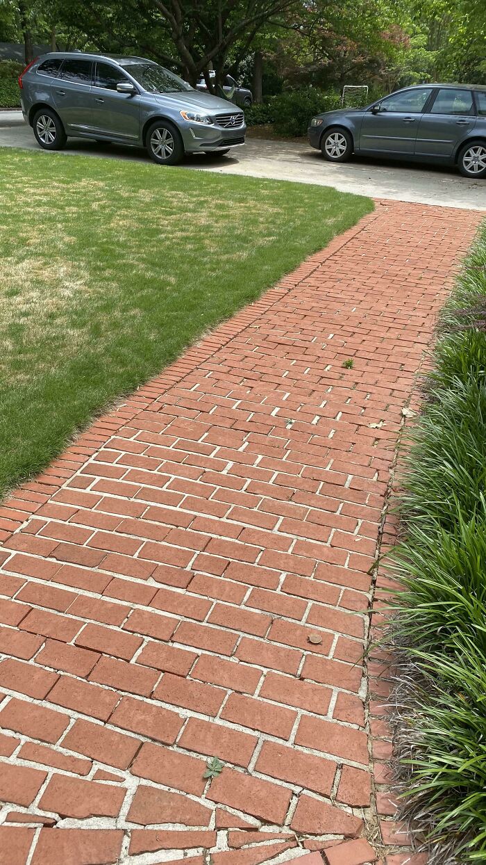 Almost Stepped On This Little Guy