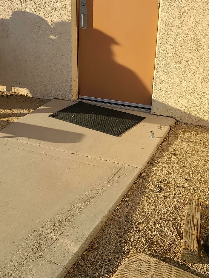 Find The Sidewinder Rattlesnake