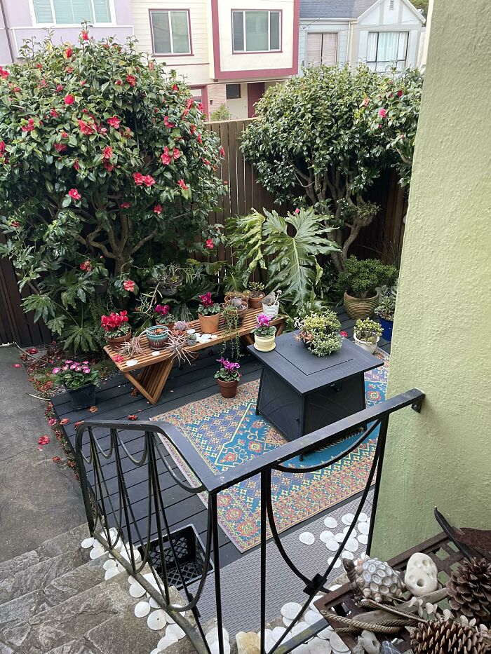 On The Easier Side Find The Doves