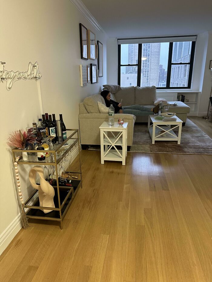 Find Juniper (The Kitten)