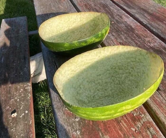 My Friend Let Her Chickens Loose On A Watermelon. They Picked It Clean