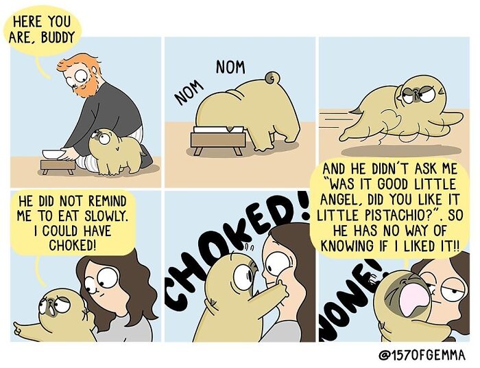 How It Looks To Live With A Dog Perfectly Captured In Hilarious Comics (New Pics)