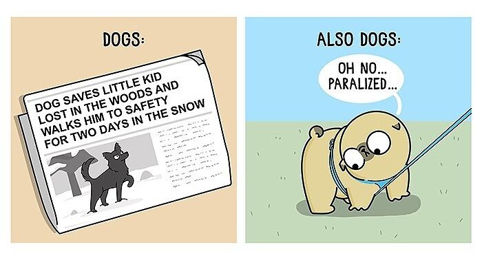 How It Looks To Live With A Dog Perfectly Captured In Hilarious Comics (New Pics)