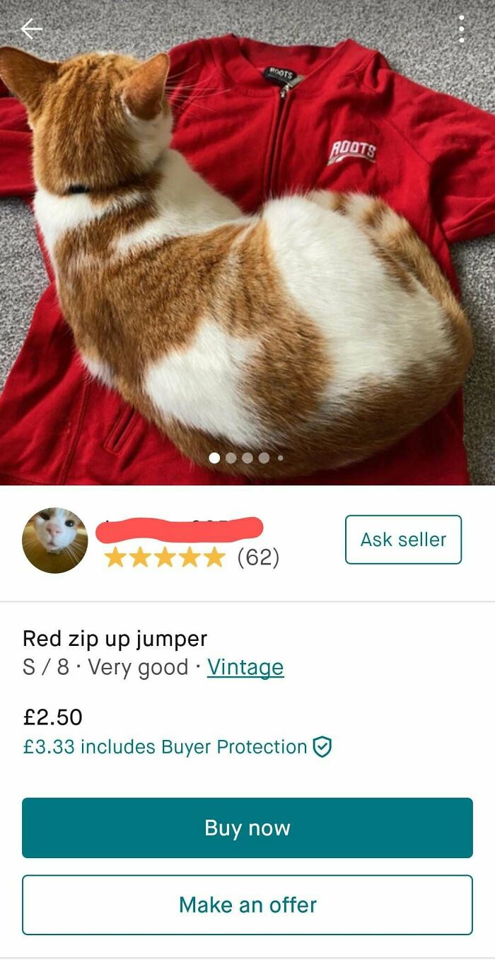 Cute Cat... But Really? Who Would Want To Buy This?