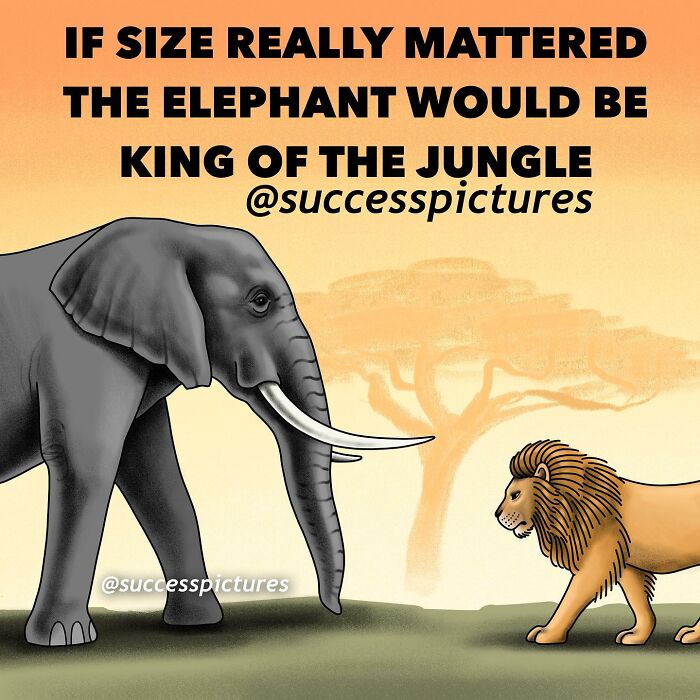 New Illustrations By “Success Pictures” That Might Motivate You