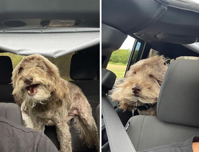 Everyone, This Is Charlie. She’s Not Always The Most Photogenic