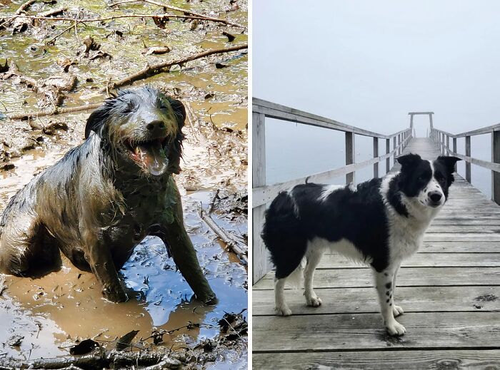 So Pleased With Himself (Second Photo For Comparison)