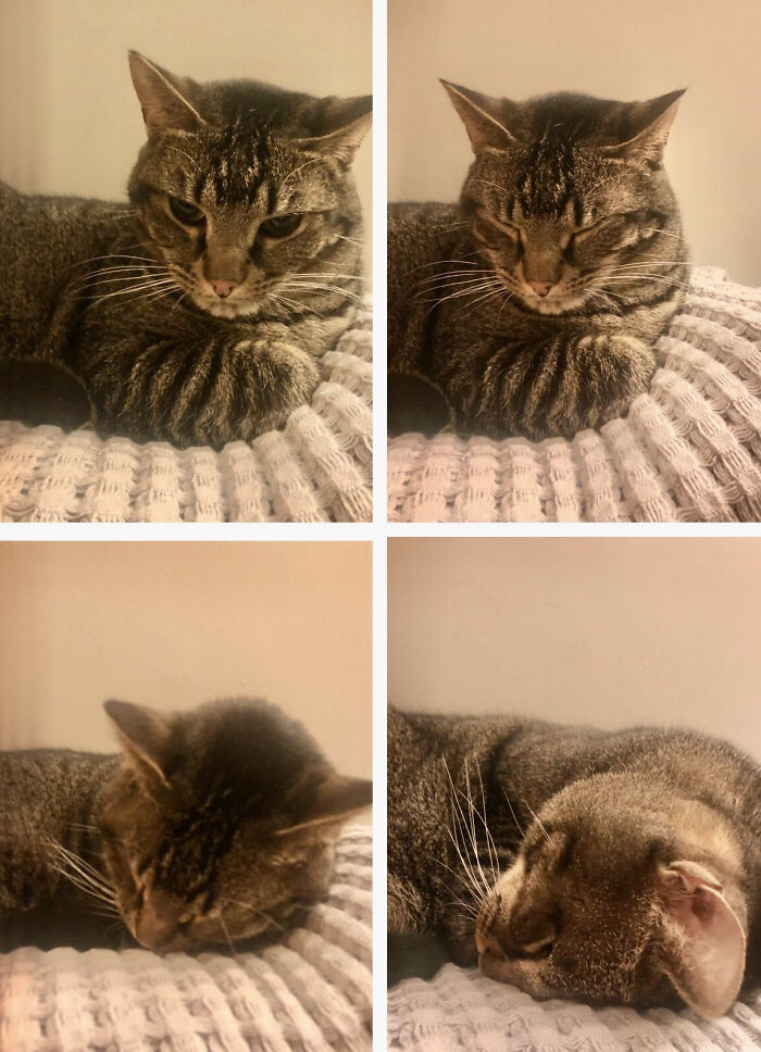 You’re... Getting... Sleep... Yyyyy