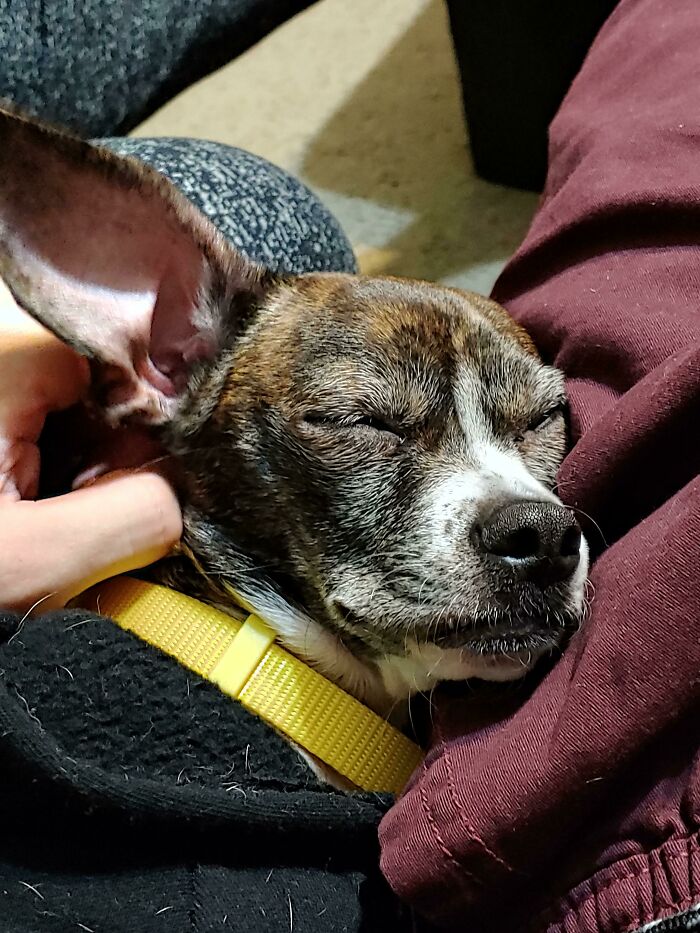 She Looks So Peaceful