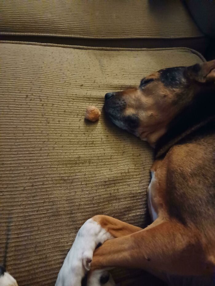 She Has A Snack Waiting For Her When She Wakes Up