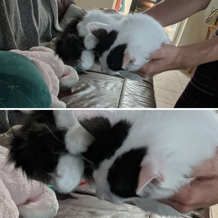 She Was So Sleepy She Didn't Even Wake Up When My Boyfriend Moved Her