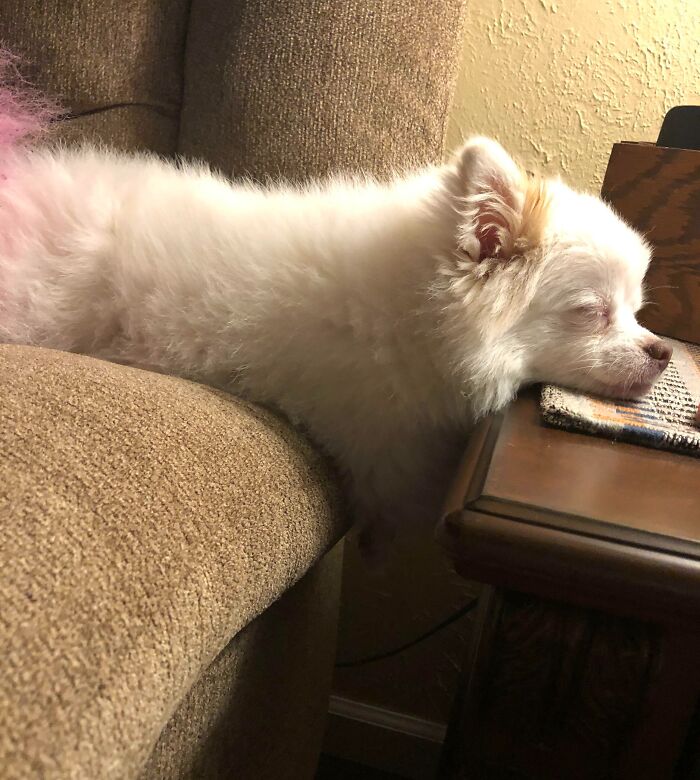 That’s How She Act When I’m Not Home