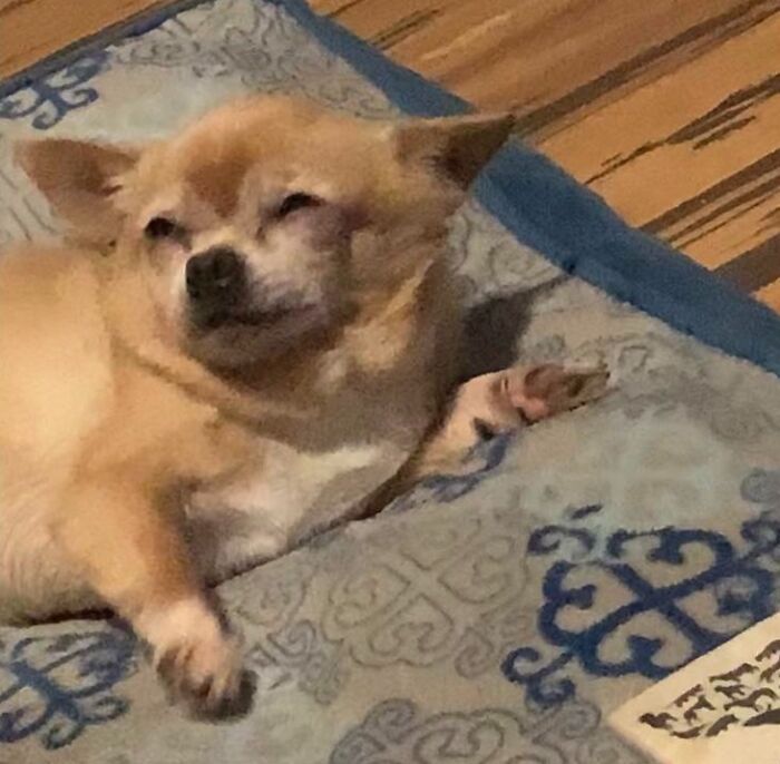 Woke Him Up From A Very Deep Sleep. He Was Not Happy