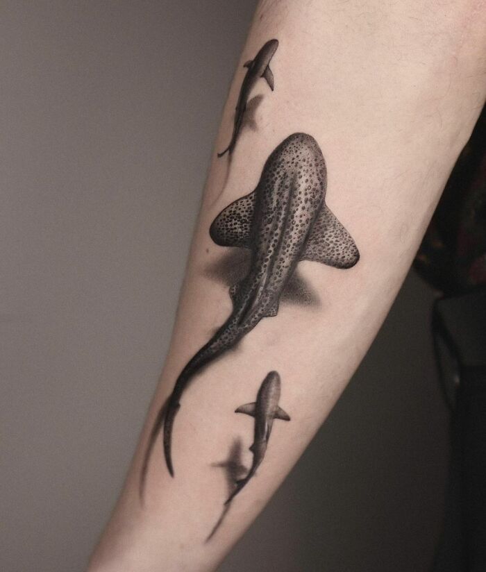 3D tattoo of realistic sharks swimming on an arm, showcasing advanced tattoo artistry.