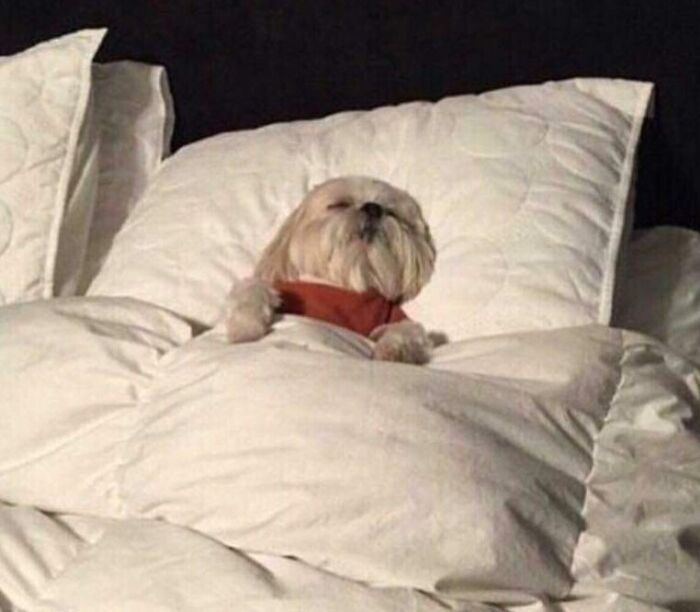 Me After Being A Jerk All Day