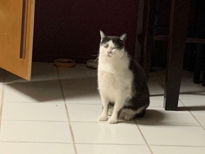 Max Being Sleepy But Hungry At He Same Time