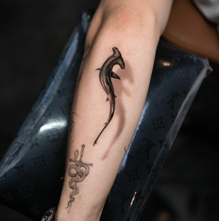 3D tattoo of a shark and sword with snake on a person's forearm, showcasing realistic tattoo art.