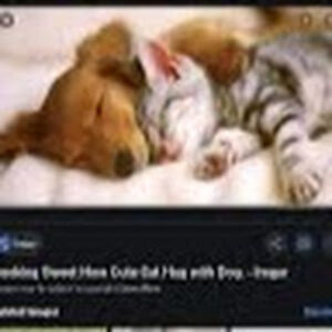 bronwynjackson avatar